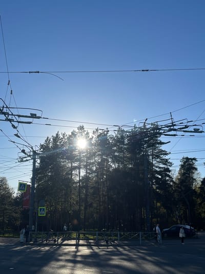The image shows an urban scene in Proba, Russia on a sunny day. Power lines and trees are in the foreground, with a clear blue sky above. Sunlight filters through the trees. In the background, a road with a sidewalk runs along the right edge of the image. People and a car are visible on the sidewalk. A crosswalk sign is near the lower part of the image. A partially obscured sign (likely an advertisement) is visible next to the crosswalk.