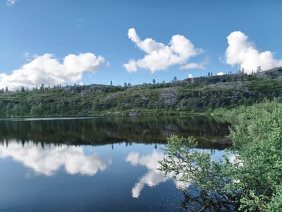 The image shows a tranquil lake reflecting a bright blue sky dotted with white, puffy clouds and a rocky, green hillside. The hillside is covered with low-lying vegetation and scattered trees. In the foreground, on the right side, a leafy green bush partially obstructs the view of the water. The lake itself is dark and still, providing a clear mirror image of the sky and the landscape above. The overall scene suggests a natural, remote environment, likely a wilderness area. The location is identified as Nyby, Norway. There are no people or animals visible in the image, and no actions are taking place. The image is a static landscape photograph.