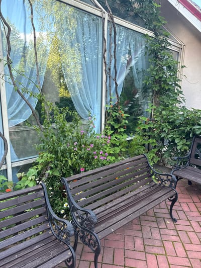 The image depicts an outdoor seating area adjacent to a building with a large window. Two dark wooden benches with ornate black metal legs are positioned on a red brick patio laid in a herringbone pattern. Lush green foliage and small pink and white flowers are growing around and in front of the benches, partially obscuring a portion of the window which is covered by light blue curtains. A vine with green leaves is growing up the side of the building and across the window frame. The window reflects green trees and a blue sky. The overall impression is of a tranquil garden setting outside a residential or commercial building. The location is identified as Yukki, Russia.