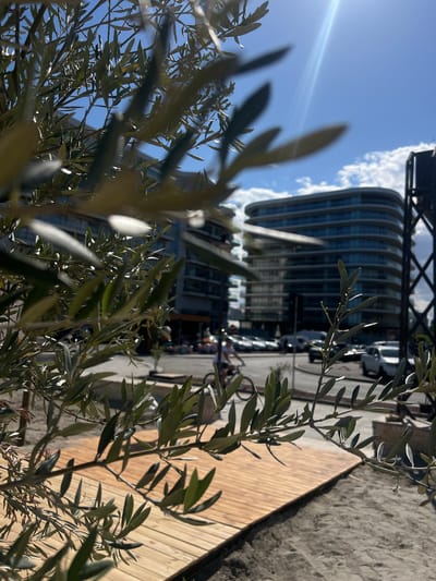 This media file is a vertical, full-shot photograph taken outdoors on a sunny day. The foreground is dominated by the blurred branches and leaves of an olive tree, creating a natural frame for the scene behind.

The main subject in the background is a modern, curved building with many windows, reflecting the bright sky. Parked cars are visible in front of the building, suggesting an urban or commercial setting. To the right of the building, a wooden deck or pathway runs diagonally across the frame, contrasting with the sandy or gravelly ground next to it. A metal structure, possibly part of a crane or industrial equipment, is visible at the top left of the image. The sky is blue with scattered white clouds, and a bright sunbeam is visible, indicating it is daytime.

No people are clearly discernible in the image. The overall impression is one of a bright, modern outdoor environment, possibly a public space or a commercial area near a waterfront or park, given the presence of the deck and sand. The time of day appears to be late morning or early afternoon. There is no visible text in the image. The image is a snapshot of an outdoor scene, with a focus on the interplay of natural elements (olive tree) and modern architecture.