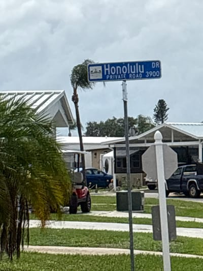 In Ruskin, Florida, a street sign for Honolulu Drive (DR) and Private Road 3900 is mounted on a metal pole. A palm tree is bending significantly to the left, likely due to wind, with its fronds obscured by a larger palm tree in the foreground. In the background, there are several mobile homes with white roofs, and a blue car and a dark blue pickup truck are parked on a paved road. A red golf cart is visible in the middle ground. The sky is overcast with clouds.