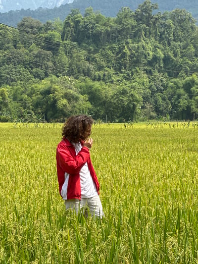 The image depicts a bright, sunny daytime scene in a vibrant rice paddy field in Ngọc Đường Commune, Vietnam. In the foreground, a person with curly brown hair is standing amidst the tall, mature rice plants. They are wearing a red and white jacket over a white top and light-colored pants. The person's posture suggests they are looking downwards or adjusting something near their face.
The rice field dominates the lower and middle sections of the image, showcasing a lush mix of bright green and golden hues, indicative of a healthy crop nearing harvest. Beyond the field, a dense line of verdant trees forms a natural boundary, giving way to a range of forested mountains or hills in the background. The distant mountains appear somewhat hazy and blue against the clear sky. Several dark power lines are visible, stretching horizontally across the midground, intersecting the tree line and the sky. The clear light and absence of clouds suggest pleasant weather. No visible text is present in the media file.
