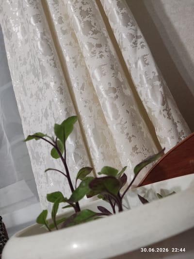 The image shows a close-up of cream-colored fabric with a subtle embossed pattern, likely curtains or upholstery. The fabric is draped in folds, creating shadows and highlighting its texture. To the right, a white pot with a plant featuring green leaves and dark stems is visible. The plant's branches extend towards the fabric. In the upper right corner, a sliver of a dark wooden object, possibly furniture, is present. The lighting appears to be artificial, suggesting an indoor setting.

A timestamp in the upper right corner reads "30.06.2026 22:44," indicating the date and time the photo was taken. Based on the time, it is nighttime. There are no people visible in the image. The scene is static, with no activity taking place. The location is identified as Iskitim, Russia.