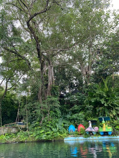 The image shows a lush, green, tropical riverbank in Kecamatan Manyaran, Indonesia, at the coordinates -7.826, 110.816. The foreground is a calm, clear, blue river reflecting the sky and surrounding vegetation. Two brightly colored, swan-shaped, flat-bottom boats, with a red, and a blue and white boat behind them, sit on the water's edge. There is a low, concrete wall along the riverbank, with a rope swing hanging down, possibly leading to the water. The riverbank is covered in thick, green foliage, with several large trees providing shade. The trees are mostly green and have thick, dark brown trunks. Some of the trees are leaning over the river. There is also some dead vegetation and fallen branches visible. The scene is peaceful and serene, with no visible human activity.