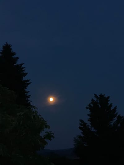 A full moon is visible in a dark blue night sky, partially obscured by a light haze. The moon is located to the right of the center of the image. Silhouetted against the sky are the dark shapes of trees on the left and right sides of the frame. The tree on the left is closer and larger, with foliage visible in the foreground. The tree on the right is further away and appears to be a conifer. In the background, below the moon and between the trees, a faint outline of hills or mountains can be discerned. The scene appears to be a natural landscape, possibly on the outskirts of a rural area. The location is identified as Heinebach, Germany.