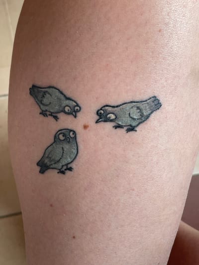 The image shows a close-up of a tattoo on a person's skin. The tattoo depicts three cartoonish birds with wide, googly eyes and gray bodies. One bird is positioned on the left, facing right. Another bird is on the upper right, also facing left. The third bird, an owl, is on the lower left, facing forward. The skin appears to be slightly dry or flaky in the area of the tattoo. The background is out of focus, but suggests a light-colored surface. There is no indication of the tattoo's location within the city of Солнечная Поляна, Russia.