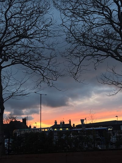 A twilight scene presents bare branches of trees silhouetted against a sky transitioning from deep blue to orange hues. Buildings with dark rooftops are visible in the distance. A lamppost stands prominently against the colorful sky. The sky is partially covered with dark and light grey clouds. The photo has a slightly rotated view.