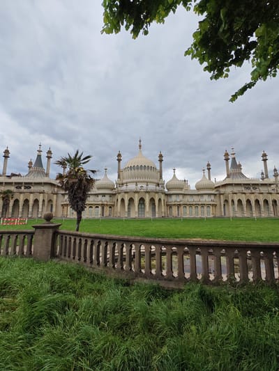 The image shows the Royal Pavilion in Brighton, a former royal residence in Brighton, United Kingdom. The architecture is Indo-Saracenic, featuring domes, minarets, and arches. A palm tree stands in front of the building. A low concrete wall with decorative balusters separates the foreground overgrown grass from the manicured lawn surrounding the Pavilion. The sky is overcast. There are no people visible in the image. The image does not contain any part of Reigate and Banstead.