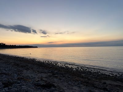 A wide-angle, low-angle, outdoor, natural light, wide shot of a rocky beach at the edge of a calm sea under a twilight sky. The sky is a gradient of pale blue at the top transitioning to soft yellow and orange hues near the horizon, with a few wispy clouds. The sea is a muted silver and gold, reflecting the sky. The foreground is a dark, pebbly beach littered with seaweed. In the distance, along the horizon, a dark, tree-lined landmass is visible. The scene depicts the coast of Dronningmølle, Denmark. There are no people or animals visible in the image.