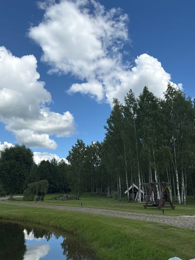 This image depicts a serene outdoor scene on a sunny day, with a clear blue sky dotted with fluffy white clouds. In the foreground, a calm body of water reflects the sky and surrounding greenery. To the right of the water, a neatly mowed lawn stretches towards a paved pathway. Beyond the pathway, a stand of tall birch trees with distinctive white bark dominates the middle ground, their dense green foliage creating a lush backdrop. In front of the trees, a rustic wooden swing set is visible, alongside a small, traditional-style wooden shelter. The background reveals more trees, suggesting a forested or park-like environment. The scene appears to be located in Mežpļavas, Latvia, given the typical landscape and architectural elements. There are no people visible in the image, and no actions or interactions are taking place. The overall impression is one of natural beauty and tranquility.