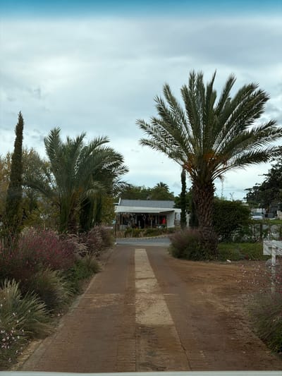 The photo shows a path in Theewaterskloof Nu, South Africa. The path is bordered by vegetation. In the background, a building can be seen with several people standing near its entrance. Two palm trees are visible on either side of the path, reaching towards a cloudy sky.