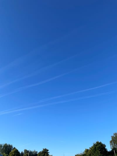 The image shows a clear blue sky with several faint contrails from aircraft. The bottom of the image features a line of trees with green foliage, bordering what appears to be a residential area. A few buildings are partially visible behind the trees. The scene is a daytime outdoor view, likely taken in Lokeren, Belgium, given the provided context. There are no people or discernible actions visible in the frame.