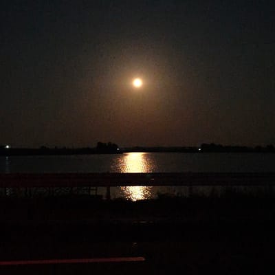 The image depicts a nighttime scene with a full moon illuminating a body of water. A dark silhouette of a treeline and possibly buildings is visible on the far bank. In the foreground, a wooden railing runs horizontally across the image, and below it is a dark area that appears to be a road or path. The moon's reflection creates a bright, shimmering path across the water. The location is identified as the Versyališkaŭski sel'ski Savec in Belarus. There are no people or animals visible in the image. The atmosphere is tranquil and still, with the moonlight dominating the scene.