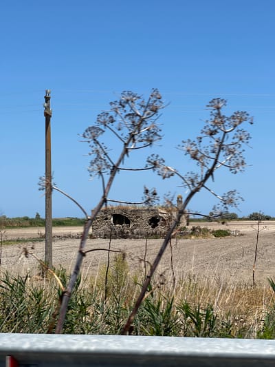 The media file depicts an outdoor scene under a clear, bright blue sky, suggesting it was taken on a sunny day. The perspective is low and tilted, with foreground elements of dried plant stalks and branches, some of which are out of focus. In the middle ground, a weathered stone structure with two arched openings is visible, hinting at ancient ruins. To the right of the ruins, a dirt road or path stretches into the distance, bordered by dry grasses and sparse vegetation. A utility pole with wires extends vertically through the frame. The overall setting appears to be a rural or historical area, possibly in a Mediterranean landscape. The sunlight indicates it is daytime, likely late morning or afternoon. There are no people visible in the image. No text is discernible.