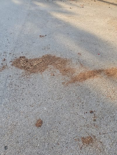 The image shows a section of asphalt pavement in Islamorada, Florida, USA. Scattered across the surface are debris and organic material, including leaves, twigs, and possibly soil. A notable feature is a larger clump of this debris, which appears to have been disturbed or spread out. The lighting suggests it is daytime, with shadows cast across the pavement, indicating the presence of overhead objects like trees or structures. The scene is static and depicts a common urban or roadside environment.