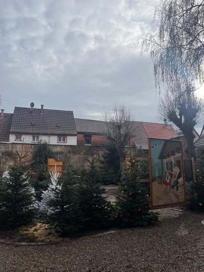 The image depicts an outdoor scene in Sélestat, France, characterized by an urban backdrop and a festive display. The sky is overcast with light grey clouds, providing diffused illumination. In the background, traditional European-style houses feature pitched tiled roofs, primarily in shades of brown and reddish-brown. One prominent house displays white walls, brown-trimmed windows, a dark brown tiled roof, a circular satellite dish, and a chimney. A weathered stone wall separates the background structures from the midground. Several bare deciduous trees, including a large weeping-style tree on the right, are visible against the sky and behind the buildings.

The midground and foreground consist of a landscaped area with dark grey gravel or small stones on the ground. A raised bed within this area contains numerous conifer trees, primarily firs, varying in size. Many of these trees are dark green and adorned with small, spherical red ornaments. Two trees in the left-center are distinctively flocked white, mimicking snow.

A large, vertically oriented wooden panel, framed in dark wood, stands on the right side of the scene, positioned among the Christmas trees. This panel features a painting that depicts a traditional Alsatian-style domestic scene. The painting shows a light blue sky with three flying birds (likely storks or swallows). Below, a section of a building with a dark roof, a window with a green louvered shutter, and a light-colored facade is visible. In the foreground of the painting, a woman in a red skirt, white blouse, and apron stands to the left, observing a man dressed in a hat, dark jacket, and light trousers. The man is depicted near a stone structure, possibly a well or fountain, with a white animal (resembling a lamb or goat) at his feet. A wooden barrel is also part of the painted scene. No live individuals are present in the observed environment. The overall impression is that of a winter holiday or market display in a historic town setting.