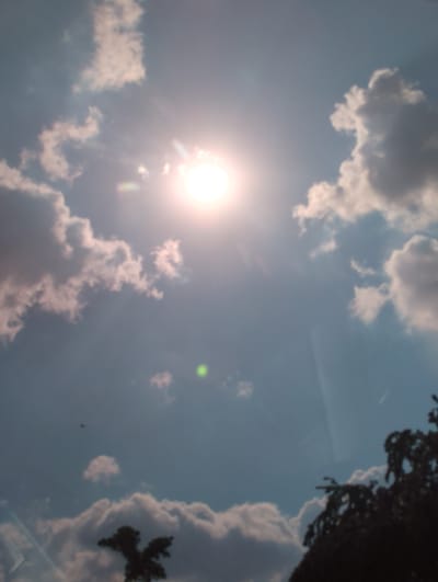 The media file shows a bright, hazy sun shining through a partly cloudy sky. The sun is the most prominent subject, appearing as a large, luminous orb with lens flare extending outwards. Scattered white and gray clouds drift across the blue sky, some appearing fluffy and others more diffused. In the upper right corner, the dark, silhouetted branches of a tree are visible against the sky. The overall impression is of a sunny day, likely midday, with a slightly overcast or hazy atmosphere that softens the sunlight. There are no people or explicit man-made objects visible in the scene, suggesting an outdoor, natural setting. The angle of the shot appears to be looking upwards. The location context of Borovan, Bulgaria, implies this is likely a view of the Bulgarian sky. There is no visible text.