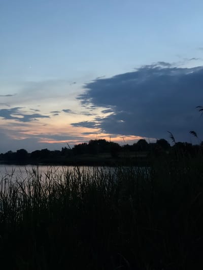 This image depicts a serene natural landscape at dusk, likely located near the city of Hrebinky, Ukraine. In the foreground, tall, dark reeds stand silhouetted against the twilight sky and the calm surface of a body of water. The water reflects the muted colors of the sky, with hints of pink and orange from the setting sun visible through the reeds. Beyond the water, a line of trees forms a dark band against the horizon, obscuring any further details of the landscape. The sky itself transitions from a pale blue at the top to darker hues as it meets the horizon. A single, faint star is visible in the upper left portion of the sky. The overall atmosphere is peaceful and quiet, characteristic of a rural evening.