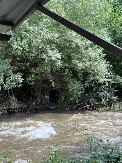 A wide shot captures a murky river flowing through a densely wooded area in Vahagni, Armenia. The river, a muddy brown, is turbulent with white foam and ripples indicating a strong current. The riverbanks are lined with trees, some with light green foliage and others with dark green leaves, creating a thick canopy. At the edge of the river, there is a visible accumulation of trash and debris, including plastic bags and scattered refuse, entangled with tree roots and branches. Overhanging the scene from the top left corner is a metal structure, possibly part of a roof or shelter, with a diagonal metal beam extending across the upper portion of the image. The lighting suggests it is daytime, with dappled sunlight filtering through the trees.