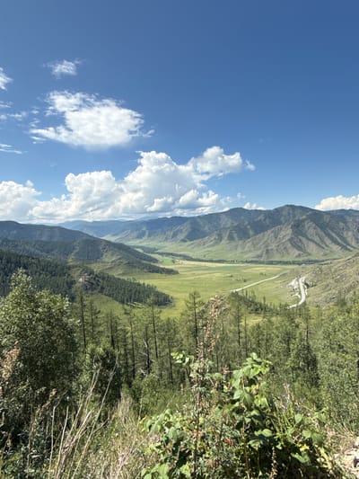 The image depicts a panoramic view of a mountainous valley under a bright blue sky with scattered white clouds. In the foreground, there is dense vegetation, including trees and tall grasses. The middle ground features a sloping hillside covered with a dark green coniferous forest, which gives way to a lush green valley. A winding asphalt road is visible traversing the valley and ascending a lighter-colored hillside on the right. In the background, layers of progressively more distant, hazy green mountains stretch across the horizon. The scene is bathed in bright daylight, suggesting a clear, sunny day. The image does not contain any people or animals, and there are no identifiable man-made structures other than the road. The location is not within the city of Khabarovsk, Russia, but rather appears to be a natural, mountainous landscape.