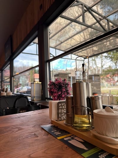 A sideways, close-up shot shows a table setting with oil and vinegar dispensers, salt and pepper shakers, and a napkin holder next to a window with a metal grid in Rudartsi, Bulgaria. The dispensers and shakers are silver and cylindrical. The oil dispenser is partially filled with yellow oil. A small bunch of pink flowers sits next to the dispensers. The table is made of brown wood. A menu sits on the table next to the table setting. Outside, trees are visible through the window.