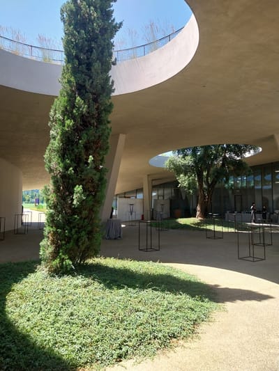 The image shows an outdoor courtyard with a large, lush green cypress tree in the foreground. The courtyard has a sand-colored ground and is partially covered by a curved, modern concrete overhang. In the background, there is a large, mature tree with spreading branches, and beyond that, a modern building with large glass windows. Several rectangular black display stands are scattered throughout the courtyard, some of which hold sculptures or decorative items covered by grey tablecloths. Two people, dressed in dark clothing, are visible near the building, possibly staff attending an event. The sky is clear and blue, suggesting a sunny day. The location is identified as the Isola dell'Arte at Caffè d'Arte Medici in Bagno a Ripoli, Italy.