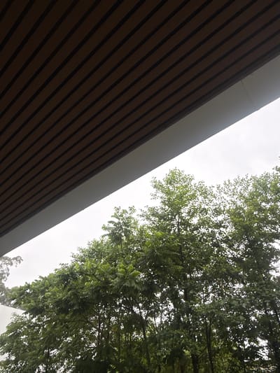 The image captures an outdoor scene, likely in Chakvi, Georgia. A brown, slatted overhang runs diagonally across the upper portion of the frame, casting a shadow. Below the overhang, a dense canopy of lush green trees dominates the lower half of the image. The sky is overcast and bright, suggesting a cloudy day. No people or specific actions are visible. The environment appears natural and verdant, with the architecture of the overhang providing a man-made contrast.