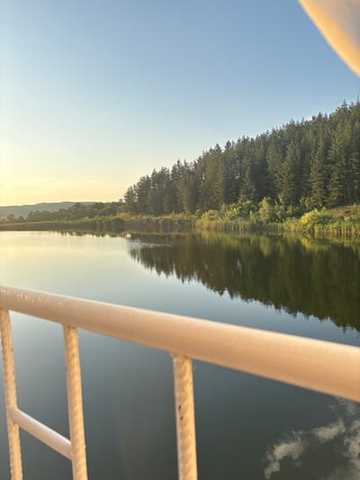 The image depicts a serene lake scene in Skalsko, Bulgaria, during the golden hour. The foreground is partially occupied by a white railing with a rope detail, suggesting the viewpoint is from a boat or a pier. The lake itself is calm, reflecting the dense forest that lines its far bank. The trees are predominantly coniferous, creating a dark green silhouette against the soft, pale blue sky. The water's surface mirrors the trees and the subtle hues of the sunset, with hints of pale yellow and orange near the horizon. Some reeds and lighter green foliage are visible at the water's edge, interspersed with the trees. The overall atmosphere is tranquil and natural.