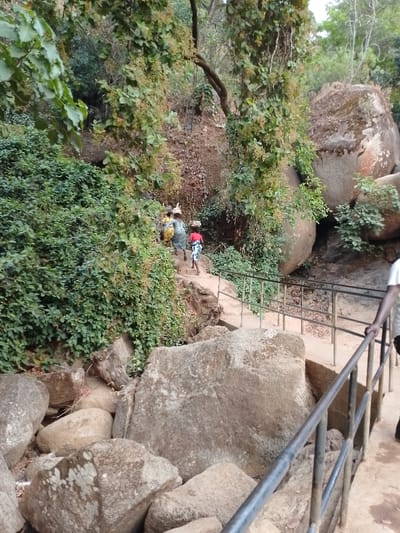 The image captures an outdoor scene featuring a winding path through a rocky, vegetated landscape. In the mid-ground, three individuals are seen walking uphill on a paved path that includes steps. The person at the front, likely a child, wears a red top and patterned shorts and carries a small item balanced on their head. Behind them, two adults, possibly women, are also walking uphill, both carrying baskets or bundles on their heads. One adult wears a multi-colored patterned dress, while the other wears a lighter-colored top and a dark skirt.
The path is flanked by abundant natural elements. To the left, dense green bushes and foliage cover a slope. Above the path, trees and vines with light green leaves and clusters of small, yellowish-green fruits or flowers hang down. The background shows more natural vegetation and a somewhat drier, rocky hillside.
Prominent in the scene are numerous large boulders of varying sizes and shapes. Several large, gray and brown rocks are visible in the foreground, middle ground, and upper right, some appearing smooth and rounded, while others have more irregular textures. Some rocks in the upper right are partially covered with moss or lichen.
A metal handrail, dark in color, runs along the right side of the path, providing support. In the immediate foreground on the right, part of a person's arm and torso, wearing a white shirt, is visible, holding onto this handrail, suggesting the perspective of someone walking along the path.
The lighting indicates daytime, with natural illumination across the scene. There is no visible text in the image. The overall impression is one of a natural trail or pathway, possibly in a mountainous or hilly region, used by locals for travel or transport.