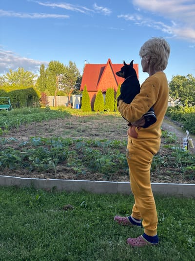 A blonde-haired person stands in a garden, holding a small black dog. The person is wearing a yellow tracksuit and pink clogs with blue socks. In the background, there is a garden with rows of plants, a red-roofed building, and trees. The sky is blue with scattered clouds.
