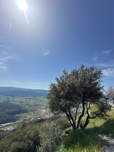 The image depicts a landscape scene featuring a tree in the foreground against a backdrop of a valley, mountains, and sky. The tree is located on a grassy slope. The valley below shows a town or settlement with structures and vegetation, suggesting a rural or semi-rural location. The sky is blue with some clouds, and the sun is visible. The photograph is taken from a high vantage point, providing a panoramic view of the landscape. The location is Ula, Turkey.