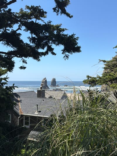The image captures a view of the coastline in Cannon Beach, Oregon, United States of America, with the iconic Haystack Rock prominent in the distance. In the foreground, dense green foliage, including tall grasses and evergreen branches, partially obscures the view of several houses with dark, shingled roofs and visible chimneys. A narrow sandy beach stretches along the ocean's edge, dotted with a few individuals. The ocean is a deep blue, with gentle waves rolling towards the shore under a clear, bright blue sky. The overall scene conveys a serene coastal landscape, characteristic of the Pacific Northwest.