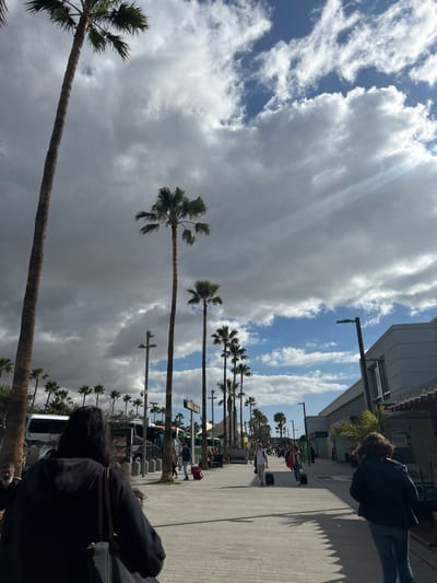 The scene shows a paved walkway with palm trees on both sides, lined with a row of parked tour buses on the left and a modern building on the right. The walkway is bustling with people walking in both directions. The sky is partly cloudy with patches of blue and gray, the majority of the clouds being gray and white. There are street lights on both sides of the walkway, and a few people are waiting near the tour buses. The scene is likely located at the Tenerife South Airport, in Granadilla de Abona, Spain. The presence of numerous tour buses suggests a busy travel hub, and the modern building could be a part of the terminal. The scene is captured during the daytime.