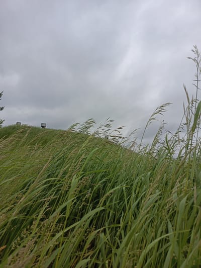 The image shows a field of tall grass swaying in the wind under a cloudy sky. In the background, on top of a grassy hill, are two cylindrical structures with caps, likely part of an industrial facility. The grass is green and lush, and some of the stalks have seed heads. The sky is overcast, with a soft, diffused light. The image appears to have been taken from a low angle, looking up towards the hill and the sky. The location is identified as Meget, Russia.