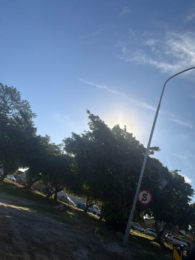 The image captures a bright, sunny outdoor scene, likely a street or roadside in Goodwood, South Africa, viewed at a tilted angle. The upper portion of the frame showcases a clear blue sky with sparse, wispy white clouds. The sun is prominently visible in the upper-middle, partially obscured by the dense green canopy of trees, creating a strong glare and lens flare.
A long, slender grey metal pole, possibly a streetlight or utility pole, extends diagonally across the frame. Attached to this pole is a circular red and white road sign, featuring a black 'S' crossed out by a diagonal line, typically indicating "No Stopping" or "No Standing."
Beneath the abundant foliage of the trees, several cars are parked on what appears to be a dirt or gravel verge with scattered patches of grass. Vehicles visible include white and a blue car, partially shaded by the overhead branches. In the background, beyond the trees, faint outlines of buildings or structures are discernible. The strong sunlight casts deep, distinct shadows, suggesting the time of day is late morning or early afternoon on a clear, bright day. The scene is devoid of people or specific activity, depicting a calm, stationary street environment.