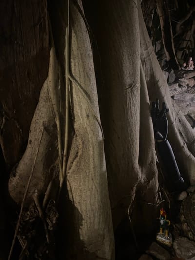 The image depicts an indoor scene in Baan Don Sai, Thailand, where large, light-colored tree roots are prominently featured. A black, articulated wooden hand and forearm rest on one of the roots. A small, colorful figurine, possibly a deity or a character of Thai origin, is positioned near the upper right corner. The scene is dimly lit, casting shadows and obscuring details in the background, where more roots and debris are visible. The overall atmosphere suggests a setting within a building or structure where tree roots have become a significant element of the environment.