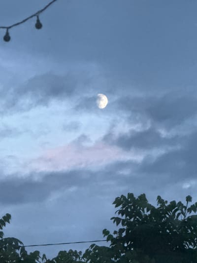 The image shows a dim, overcast sky with wispy clouds. A partial moon is visible in the upper left quadrant of the image, partially obscured by clouds. The sky is a muted blue-gray color, suggesting it is either early morning or late evening. In the upper right corner, the dark silhouette of tree branches with leaves is visible, suggesting an outdoor setting. Along the bottom left edge, a string of small, dark, bulb-like objects hangs, possibly part of outdoor lighting. The overall mood is subdued and calm. There is no visible text in the image. The provided location context of Beryozovsky, Russia, suggests this outdoor scene is set in that region.