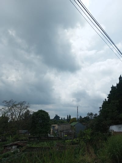 This image depicts an outdoor scene in Vieng Phouka, Laos, under a heavily overcast sky dominated by dense, grey clouds with some brighter areas suggesting diffuse light. Three dark power lines run diagonally from the upper right corner towards the left across the sky. The immediate foreground consists of tall, unkempt green grass and various types of low-lying vegetation.
In the mid-ground, a collection of residential structures is partially obscured by trees and dense foliage. These include a small, weathered hut on the left, a light-colored two-story building with a dark roof, and a simpler grey building featuring a green roof. A horizontal, raised concrete or stone structure, possibly an embankment or narrow bridge, is visible in the mid-ground, with vegetation growing on and around it. Further in the background, a tall, slender cellular communication tower stands prominently above the distant treeline, which comprises a mix of deciduous and evergreen trees indicating hilly terrain. No individuals or discernible actions are present in the scene.