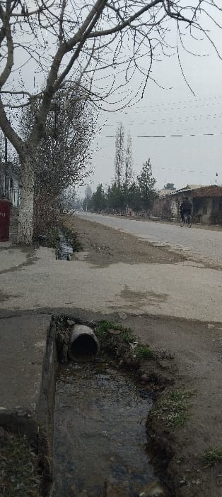 The image depicts a rural or semi-urban street scene in Fayziabad, Uzbekistan, under an overcast sky, suggesting late autumn or winter. In the immediate foreground, a concrete-lined channel containing flowing water runs horizontally across the frame, with a gray concrete pipe discharging water into it from the left bank. Sparse green vegetation and bare earth line the channel.
On the left side of the midground, a large deciduous tree with numerous bare, dark branches dominates, its light-colored trunk rooted near a concrete surface. Behind this tree, a portion of a light-colored building is visible, alongside a red cylindrical object resembling a mailbox or utility box.
The central and right portions of the midground are occupied by an unpaved or poorly maintained asphalt road, characterized by dirt patches and uneven surfaces, extending into the hazy distance. Along the right side of this road, a line of evergreen trees and tall, slender deciduous trees with bare branches are present. Further down the road, on the right, several low-rise, rustic-appearing buildings with dark roofs and walls are visible.
A single individual, dressed in dark clothing, is observed riding a bicycle away from the viewer on the right side of the road. The background consists of a hazy, overcast sky, obscuring any distant horizon.