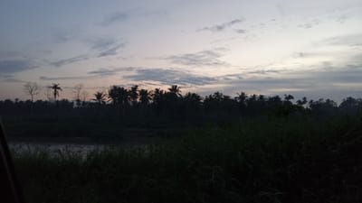 A dark, silhouetted image depicts a dawn or dusk scene over a tropical landscape. The sky is a pale gradient of blue and grey, with wispy clouds scattered across it. A dense line of palm trees forms a dark silhouette against the sky, with a few bare trees also visible among them. In the foreground, tall, dark grass partially obscures a body of water, likely a river or canal, which reflects the dim light. The overall impression is one of a peaceful, natural setting in an area that could be Kubu, Indonesia, given the prevalence of palm trees and tropical vegetation.