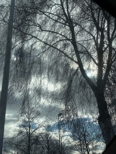 The scene depicts an outdoor environment in Oberhausbergen, France, during winter or early spring, characterized by bare deciduous trees against a dynamic sky. A prominent multi-trunked tree with numerous fine, pendulous branches stands on the right, silhouetted by the light from above. On the far left, a tall, slender grey utility pole extends vertically. In the mid-ground, a dark street lamp is visible among other leafless trees. The sky features a combination of dense grey and white clouds, with brighter areas indicating sunlight and intermittent patches of pale blue. The scene contains no individuals, animals, or discernible activities. A subtle reflection and dark framing on the right edge are consistent with an interior vantage point.
