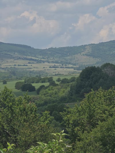 The image depicts a verdant, mountainous landscape in Gigintsi, Bulgaria, under a cloudy sky. The scene is viewed from an elevated vantage point, looking across a valley to distant hills.
The upper third of the image is occupied by a light blue sky with numerous scattered, diffused cumulus clouds, ranging from white to light grey. The lighting is soft and ambient, characteristic of an overcast day.
The background features a series of undulating hills, densely covered with coniferous and deciduous trees, appearing as dark green forests. Interspersed throughout these hills are lighter green patches, indicative of open fields or grasslands. Atmospheric haze contributes to the softening of detail on the furthest elevations.
The midground reveals a broad valley floor, characterized by a mosaic of agricultural fields and natural vegetation. These fields vary in shade, from light lime green to darker emerald green, suggesting different crops or stages of growth. Clumps of dark green trees and bushes are scattered across the valley, breaking up the expanse of fields. Faint horizontal lines, consistent with power or telephone lines, are partially visible in the mid-lower left portion, traversing the midground.
The immediate foreground is dominated by the dense, vibrant green foliage of several deciduous trees. Their leaves are lush and well-defined. On the far right edge of the frame, a tree with partially bare, skeletal branches contrasts with the surrounding healthy green canopy.
No human figures or animals are present in the observable scene. The environment appears natural and agricultural, typical of a rural, hilly region during a growing season, likely summer.