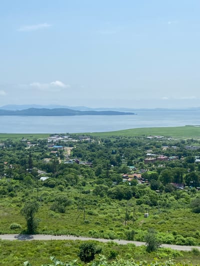 This is a high-angle, wide shot of a coastal landscape in Kraskino, Russia. The scene is dominated by lush green vegetation, including a dense forest in the mid-ground and foreground, with a scattering of houses and buildings visible amidst the trees. A road cuts through the lower part of the image, bordered by green grass and brush. In the distance, a calm, wide body of water, likely the sea or a bay, stretches across the horizon, with a series of low-lying, blue-hued hills on the far side. The sky is a pale blue with a few wispy clouds. There are no people or visible animals in the frame. The overall impression is one of a rural, coastal settlement surrounded by abundant natural greenery.