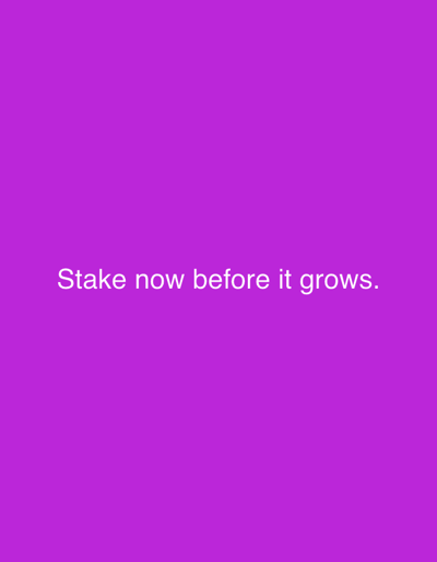 The image displays a solid, vibrant purple background. Centered horizontally in the lower portion of the frame, white sans-serif text reads, "Stake now before it grows." There are no individuals, specific objects beyond the text, or discernible actions or interactions depicted. The environment is entirely abstract, consisting solely of the uniform purple color. The image provides no geographical information and therefore cannot be located in the city of Ολυμπιάδα, Greece, or any other specific location.