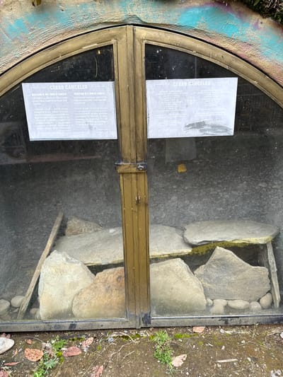 An outdoor exhibit, identified by internal signage as a "Recreation of a Tomb of Cancelas" related to "AMCO" and "Pereira," is situated in the Area Metropolitana Centro Occidente, Colombia. The exhibit consists of an arched-top display case with two glass doors set in a gold-painted metal frame. The top of the case is decorated with turquoise and other hues. Inside the glass doors, two rectangular informational signs, presenting text in Spanish and English, are affixed. The interior of the case houses several large, irregularly shaped, light-colored stone slabs arranged to form a table-like structure, supported by other large stones and smaller, rounded river rocks at their base, simulating an ancient tomb. A long, thin wooden plank leans vertically against the back interior wall on the left. A small, indistinct yellow object lies on the dirt floor inside the case on the right. The exterior ground in the immediate foreground is dirt with sparse green vegetation and scattered dry leaves.