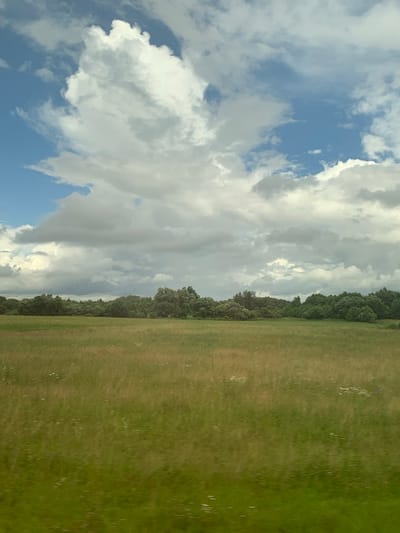 The image depicts a rural landscape under a cloudy sky. In the foreground, a vast field of green grass stretches towards a dense line of trees that forms the horizon. The grass appears to be uncultivated, with hints of dry, straw-like stalks interspersed among the green. Small white wildflowers are scattered throughout the field. The trees in the background are a mix of deciduous varieties, creating a textured green wall. Above the trees, a dramatic sky unfolds with large, billowing white and gray clouds against patches of blue. The lighting suggests it is daytime, with the sun partially obscured by the clouds, casting a diffused light over the scene. The image was taken in or near Юнькаўскі сельскі Савет, Belarus.