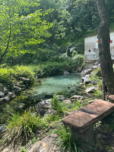 The image depicts a clear, shallow stream winding through a lush, green environment in Krichim, Bulgaria. The water is so transparent that the rocky stream bed is visible. On the right side of the stream, there is a rough-hewn wooden bench with a geometric pattern resting on the ground, amidst grass and rocks. A tree trunk stands near the bench. On the left, dense foliage borders the stream, with a building partially visible in the background; it is covered with graffiti and posters. The setting appears to be a natural area within the city.