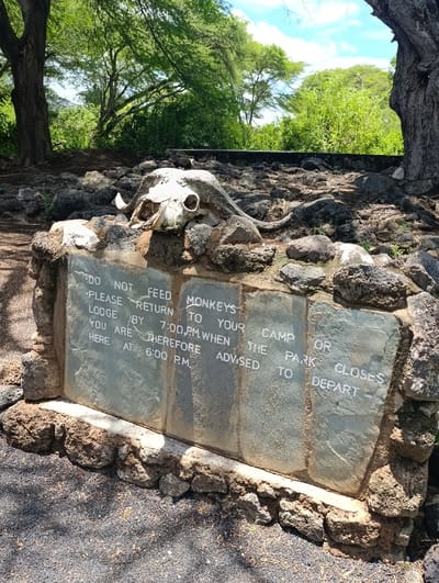 The image shows a sign made of stone slabs, positioned on a rocky surface, in Tsavo East National Park, Kenya, located at coordinates -2.983, 38.022. The sign is made of five stone slabs, stacked vertically. The top slab is partially obscured by a large, white animal skull resting on the rocks behind it.  The other four slabs have the following warning message painted in white:  "DO NOT FEED MONKEYS -PLEASE RETURN TO YOUR LODGE BY 7:00 PM WHEN THE PARK CLOSES YOU ARE THEREFORE ADVISED TO DEPART AT 6:00 PM".  The sign is surrounded by rocks, grass, and trees. The sky is blue with some white clouds.