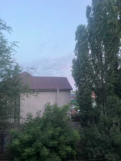 The image depicts a residential area in Qaskeleñ, Kazakhstan, with a large, two-story building prominently featured on the left. This building has a light-colored, stucco exterior and a dark, sloped metal roof. Adjacent to the building, on the right side of the frame, are several tall, slender trees with dense green foliage. The sky above is a pale blue with some wispy clouds, suggesting either dawn or dusk. In the foreground, there is an abundance of green shrubbery and smaller trees, partially obscuring a low wall made of concrete blocks. Other buildings with multi-colored roofs are visible in the background, peeking through the trees, indicating a neighborhood setting. The scene appears to be a still, overcast day in a suburban or semi-urban environment.