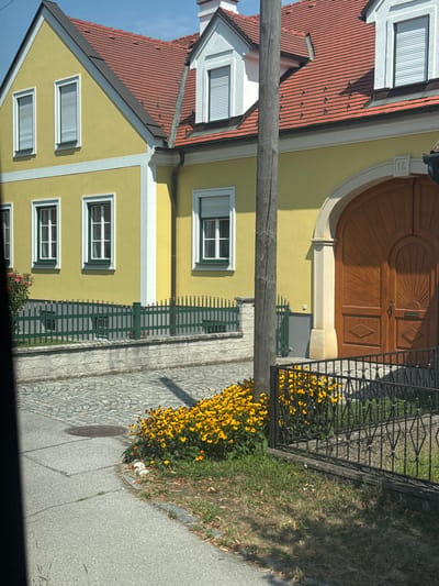 The image shows a residential building with a yellow facade and a red tiled roof. The building has several windows with white frames and shutters. In front of the building, there is a wooden fence, a paved walkway, and a patch of yellow flowers. A large wooden door with ornate carvings is visible on the right side of the building. The scene appears to be a street in Wolfsthal, Austria, given the architectural style and the presence of a street number "15" above the door. A wooden pole stands in front of the building, partially obscuring the view. The ground is paved with cobblestones and asphalt. The weather is sunny with a clear blue sky. There are no people or animals visible in the image.
